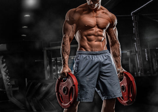 WEIGHT PLATES