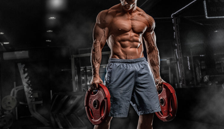 WEIGHT PLATES